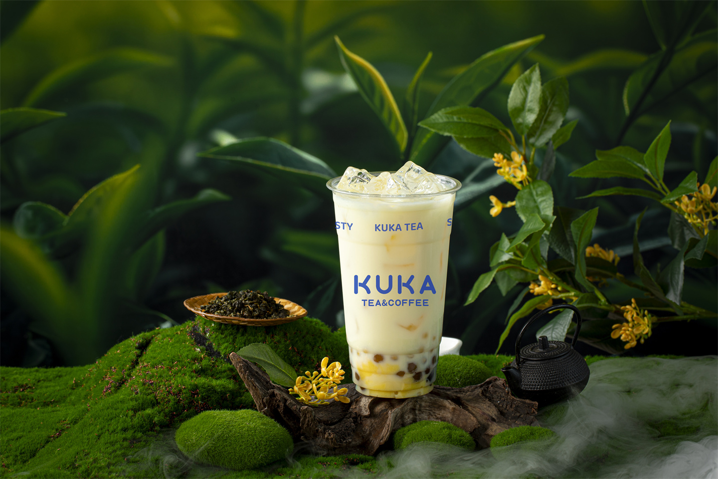 金桂乌龙6Y6A3506_1 拷贝