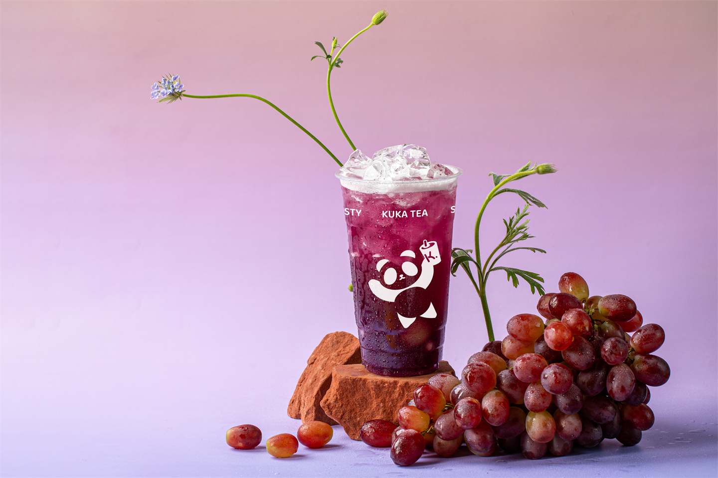 多肉葡萄6Y6A3831 拷贝